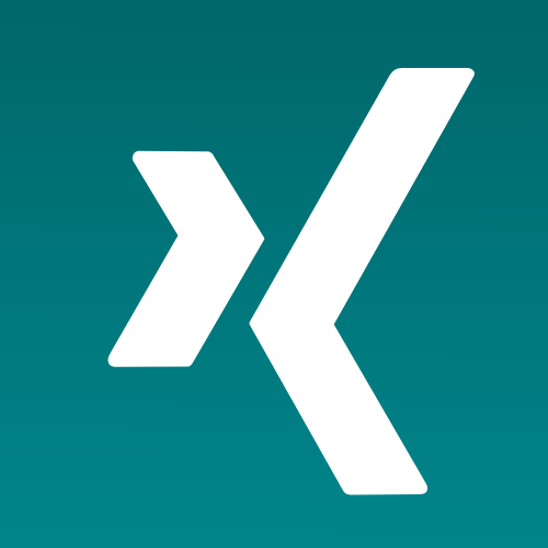 Xing icon